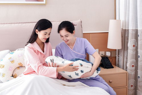 城镇化中的家政服务新机遇
